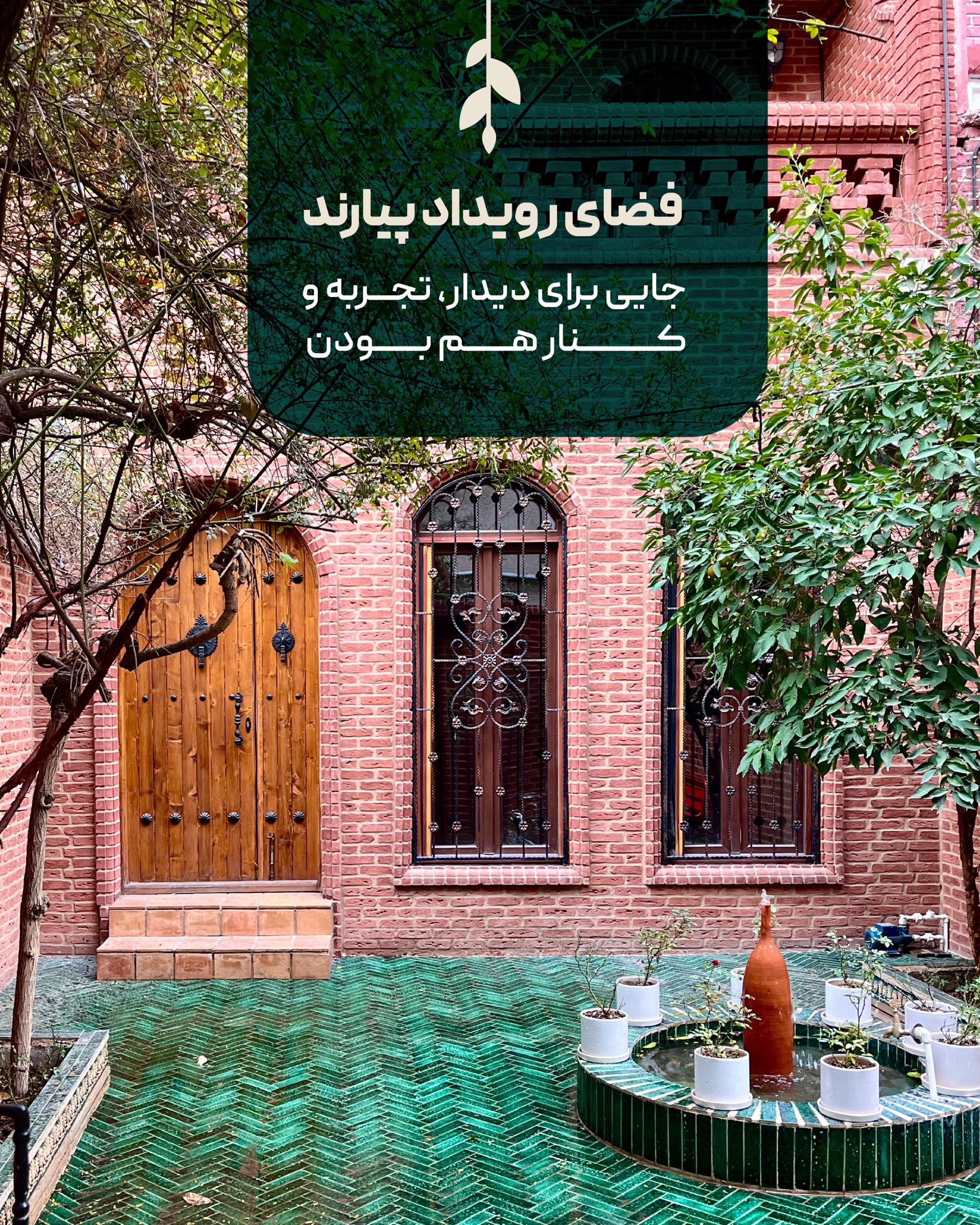 حیاط